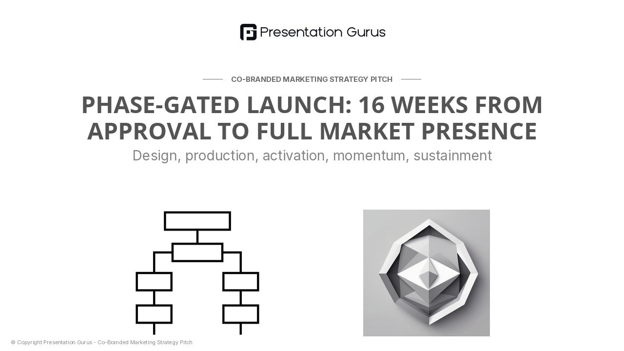 Go-to-Market & Launch Plan