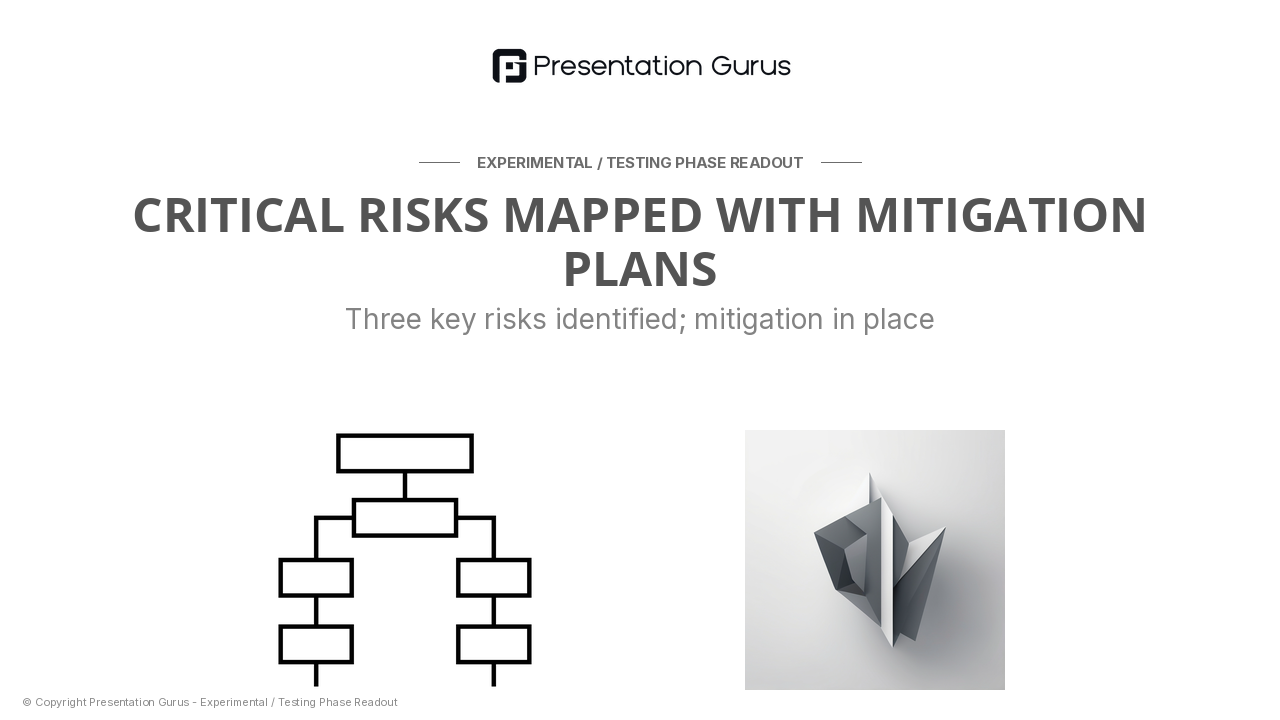 Risk Mitigation & Contingency Planning