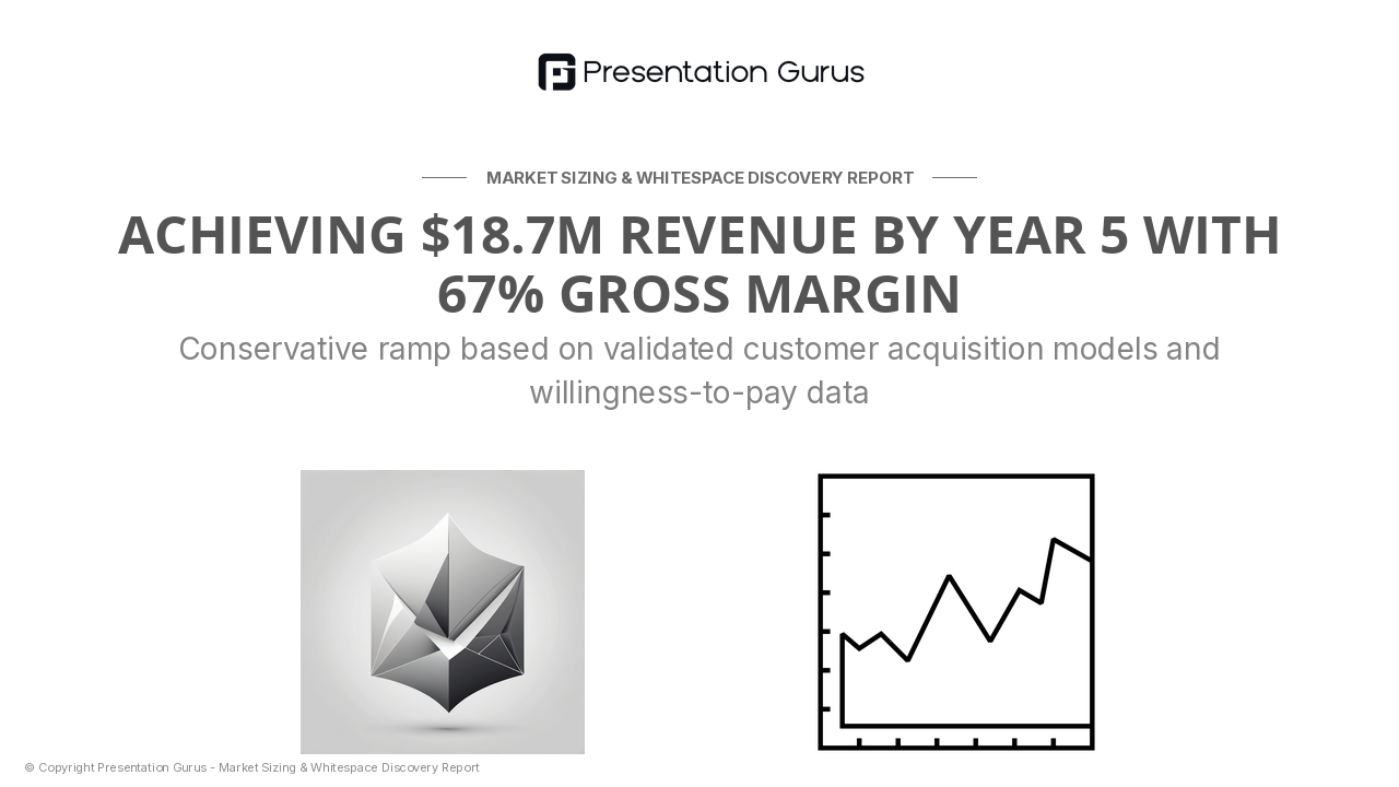 Financial Projections