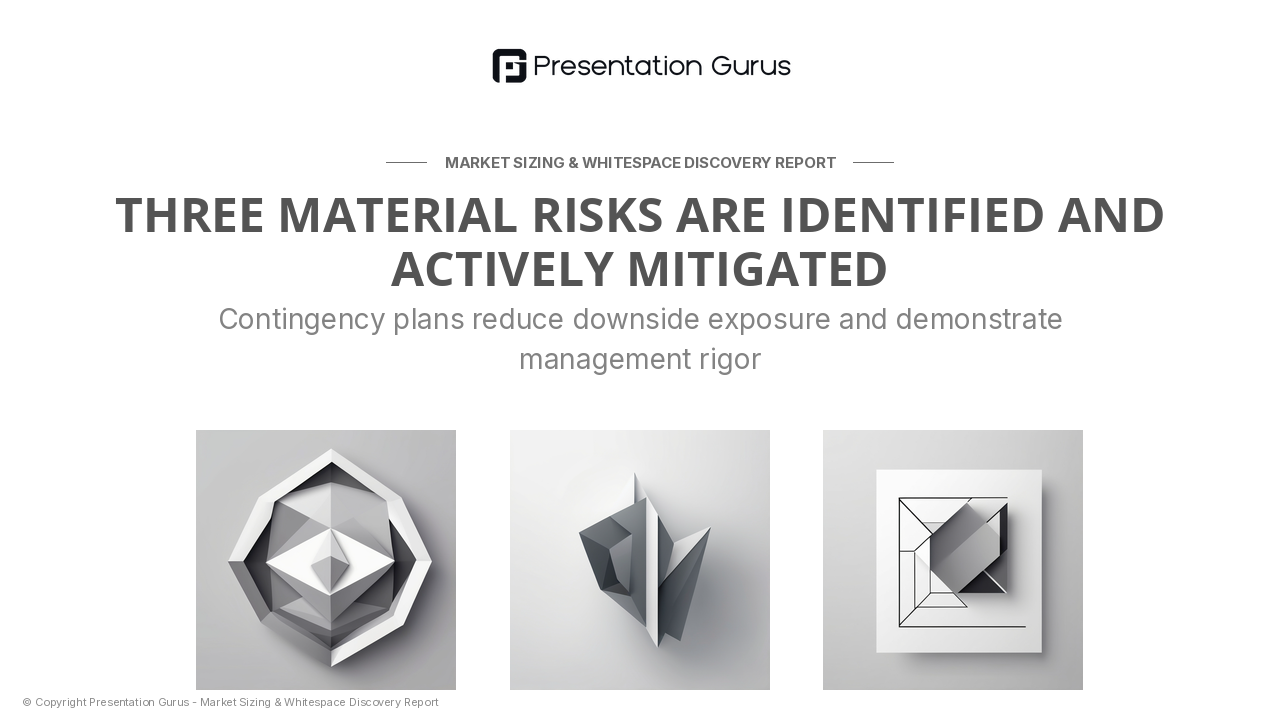 Risk & Mitigation Strategy