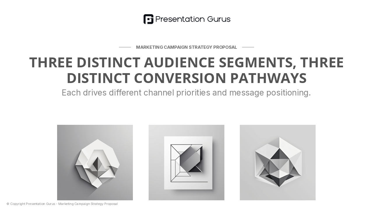 Target Audience & Segmentation Strategy
