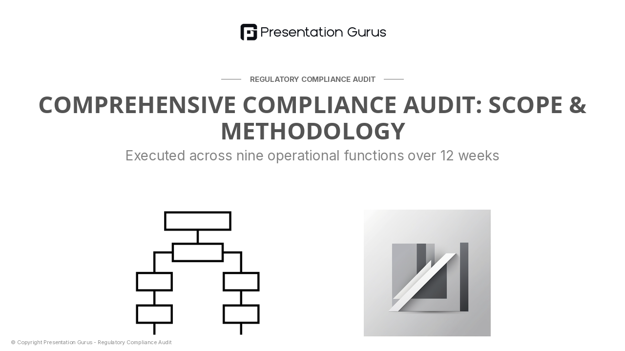 Audit Scope & Methodology